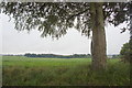 Fields at East Jeanfield, near Bridgefoot