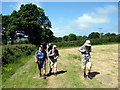 Llwybr Quarry Cottage Footpath