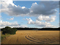 Field south of North Weald station