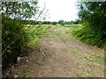 Farm track crosses field boundary at public footpath