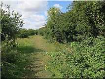 TL2571 : Ouse Valley Way by Hugh Venables