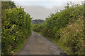 Lane near Trentworthy Cross