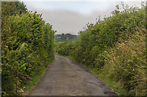 SS2915 : Lane near Trentworthy Cross by J.Hannan-Briggs