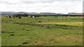 Dulnain flood plain,  Easter Gallovie