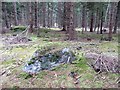 Boulder, Ballintomb Wood