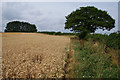 Footpath to Church Hanborough