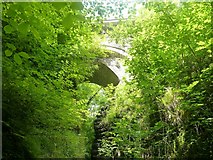 SN7477 : Devil's Bridge arches through the trees by Rob Farrow