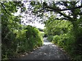 Coming out of the north of Woodencliff Wood