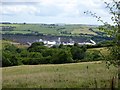 Linhay Hill Quarry