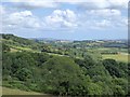 Woodland and gently rolling hills north of Ashburton