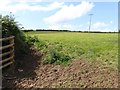 Field with one electricity pole