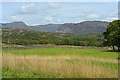 Fields near Tyddyn Rhyddid