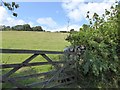 Field gate near Rushlade