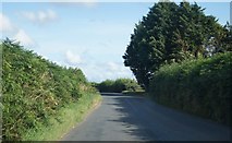 SS4215 : Northern approach to Stibb Cross by Mr Ignavy