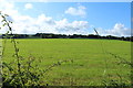 Farmland at Sinclairston