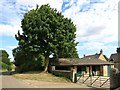 Tree and Stables at Ludwell Farm