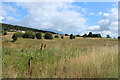 Scrubland at Smallburn, Muirkirk