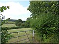 Fields and woodland near Rew Cross