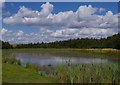 Lake, Peter Fidler nature reserve