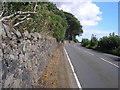 Footpath next to the B942 road to Colinsburgh