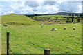 Farmland at Muirkirk