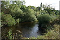 The River Wharfe near Netherby Deep