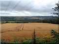 Fields below High Voltage Power Lines