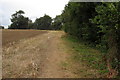 Footpath to Hardingstone