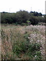 The path to Grange Cottages