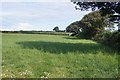 Pasture west of Petrockstowe