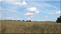 TL8414 : Arable land near Lea Lane, Great Braxted  by Roger Jones