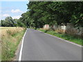 Road running past Braxted Park