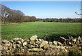 Field near Hollies Farm