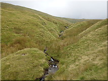 NY4608 : Above Wren Gill by Michael Graham