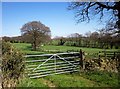 Fields by the Nidderdale Way