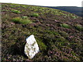 NT6401 : Boundary stone on Haggie Knowe by Andrew Curtis