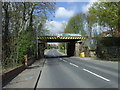 Railway bridge over Hermitage Lane