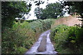 Torridge : Country Lane