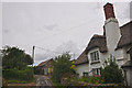 North Devon : Country Lane