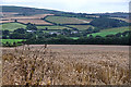 North Devon : Countryside Scenery