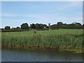 View from Leeds Liverpool canal towards Melling