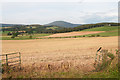 Field at the side of the road to Douneside