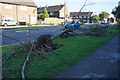 TA1431 : Storm damage on Staveley Road, Hull by Ian S