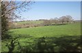 Towards the Thornton Beck valley