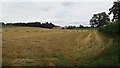 Stubble and round bales