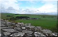 Cawfields Farm from Hadrian