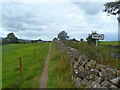 NY5764 : Entering Banks on Hadrian's Wall Path by Anthony Parkes