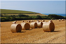 SY9179 : Field with straw bales by Trevor Harris