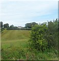 NY4961 : Fields near Cumrenton Farm by Anthony Parkes