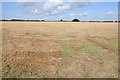 Stubble field behind Binders Lodge